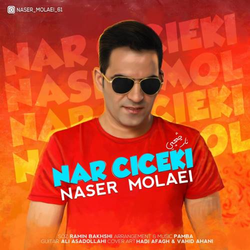 دانلود آهنگ نار چیچیی ناصر مولایی